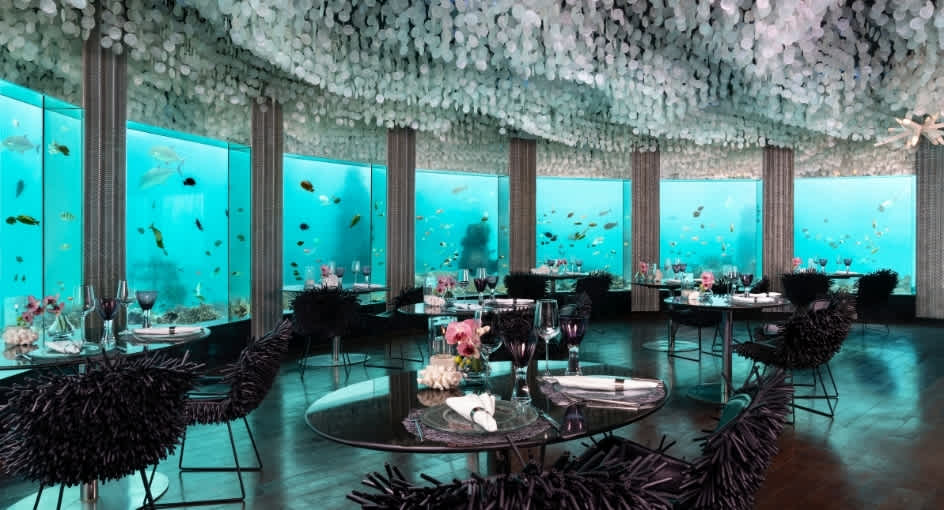 Subsix, best underwater dining restaurant in the Maldives at Niyama Private Islands Maldives