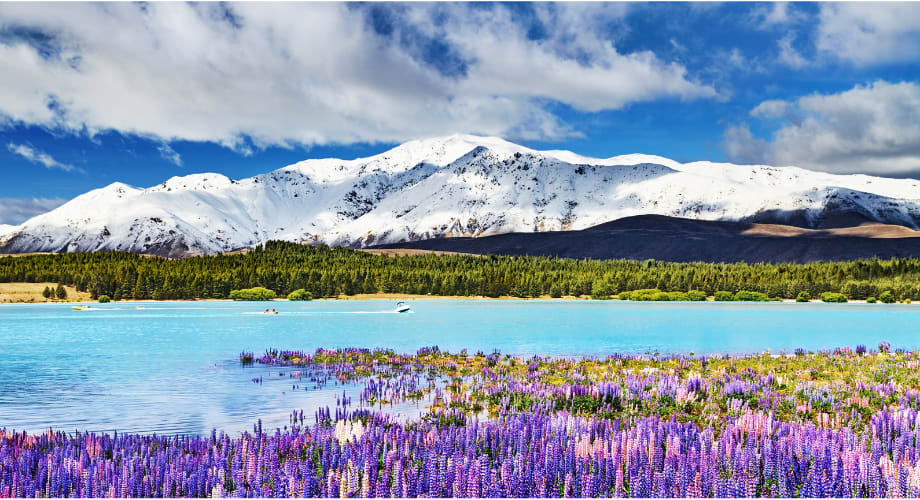 Lake Tekapo is a beloved holiday destination of crystal-clear waters