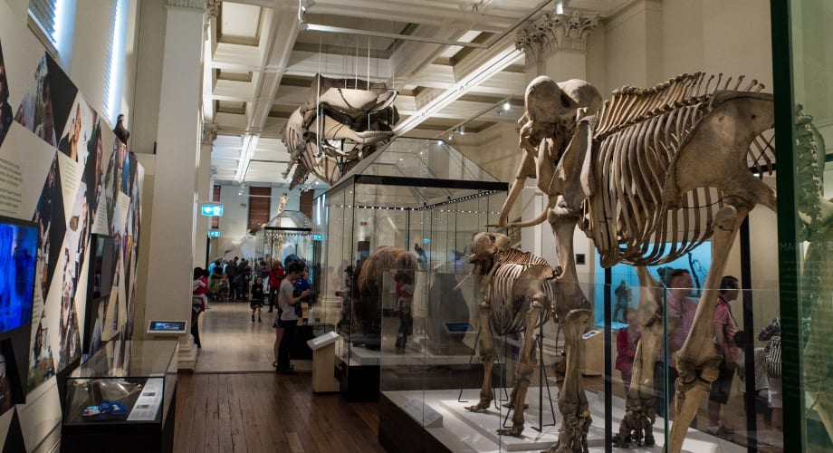 The Australian Museum: a family day out