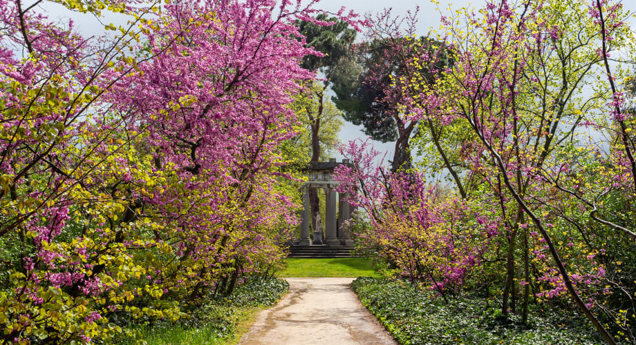 Madrid secret garden  El Capricho