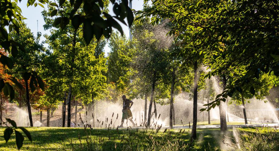 Urban Sustainability at Madrid Río Park