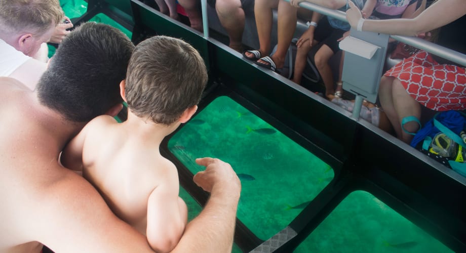Cairns and The Great Barrier Reef recommended for visiting with children