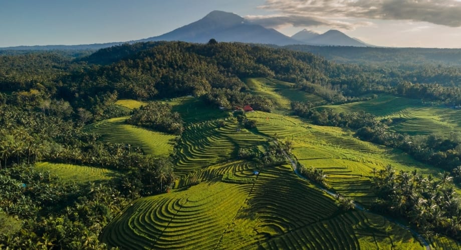 Ubud is perfect for couples