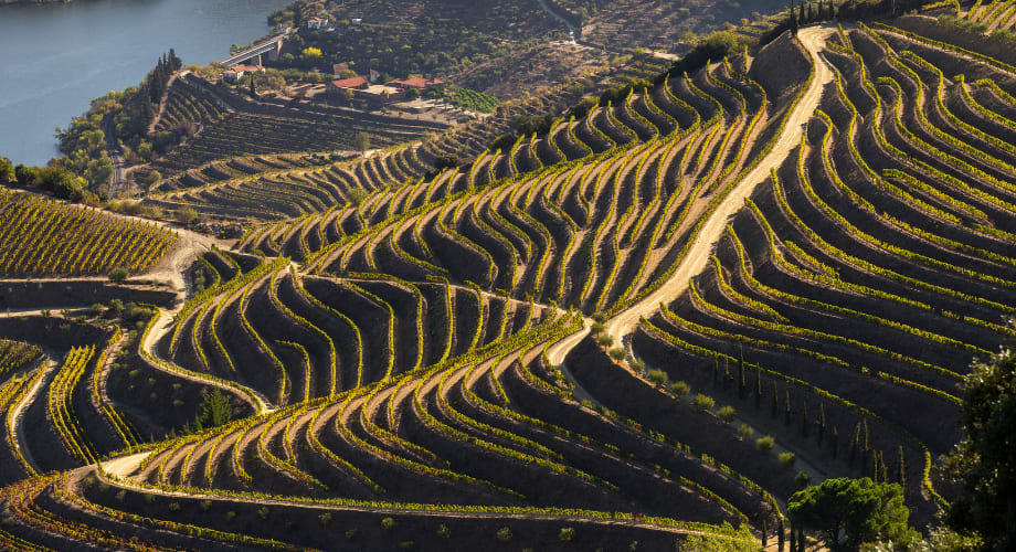 Douro Valley’s wine culture is perfect to enjoy solo