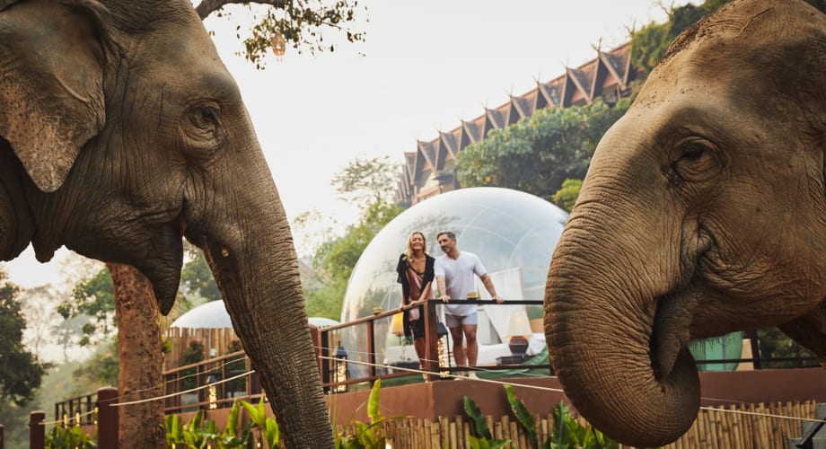  Anantara Golden Triangle Elephant Camp & Resort