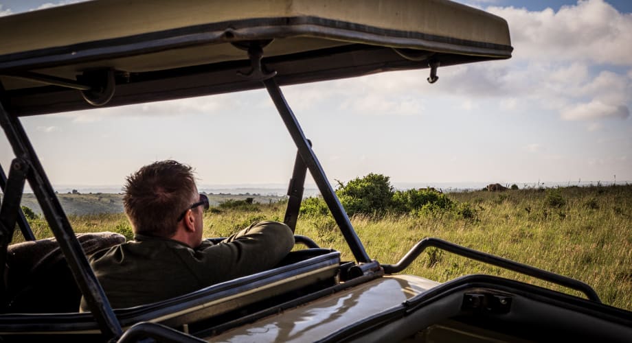 Safari tailored to personal taste