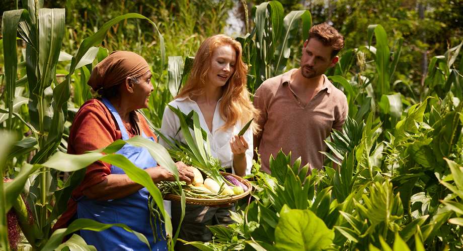 Travel trend shows authentic culinary experiences are seen as another priority