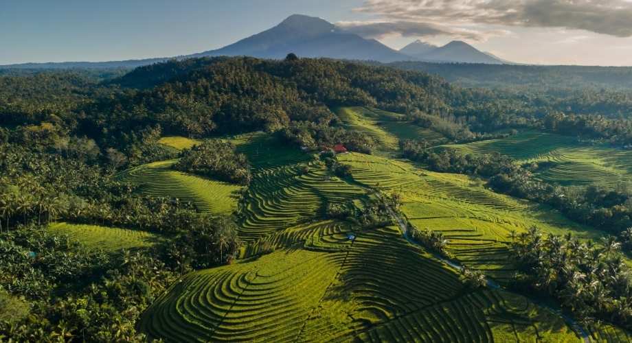Ubud is perfect for couples