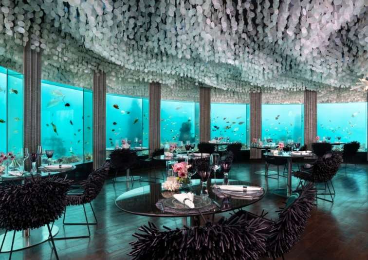 Subsix, best underwater dining restaurant in the Maldives at Niyama Private Islands Maldives