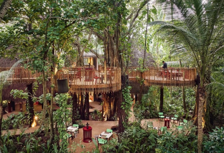 Nest - Dining experience in the jungles at Niyama Private Islands Maldives