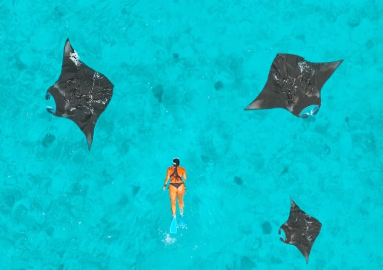 Snorkelling with Manta Rays in Hanifaru Bay, Baa Atoll, at NH Collection Maldives Reethi Resort