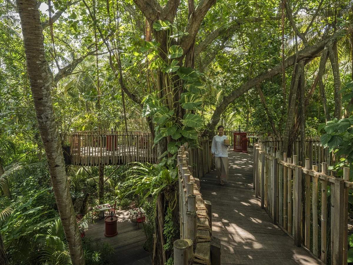 Niyama Private Islands Maldives Nest Treetops Dining