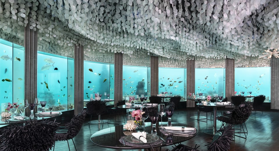 The Dinig Rooms アンビエントsubterranean moder Subterranean Modern | The Dining Rooms