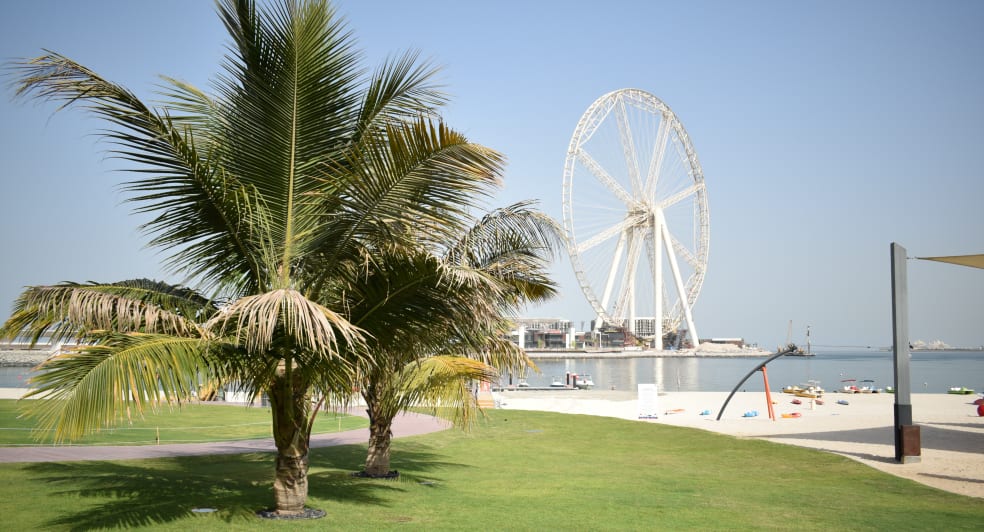 The Dubai eye from the walk of JBR  near NH Collection Dubai The Palm