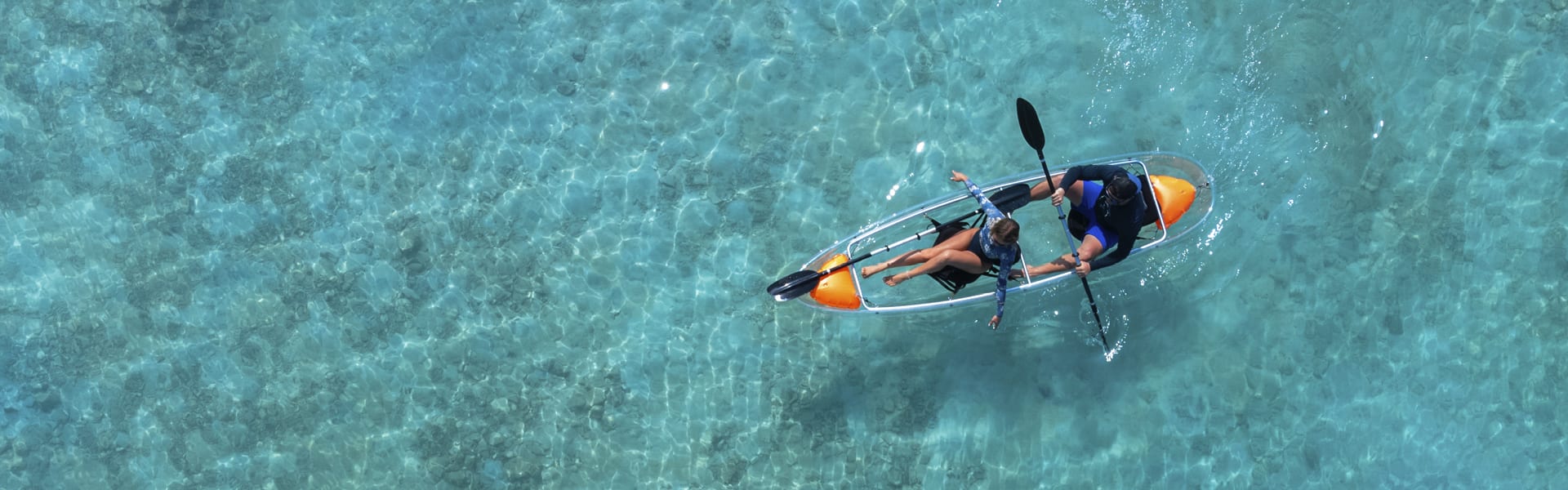 Activities in Maldives | NH Kuda Rah | South Ari Atoll Whale Sharks